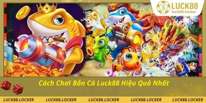 Cách chơi bắn cá hiệu quả cho người mới