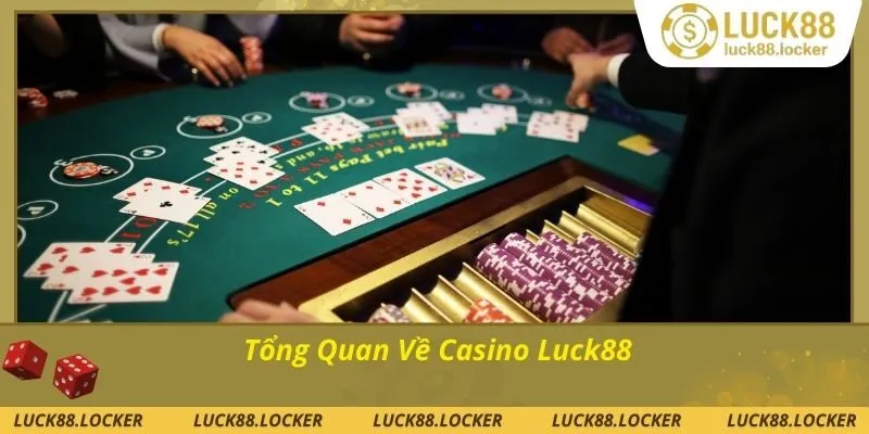 Khám quá chi tiết về casino luck88