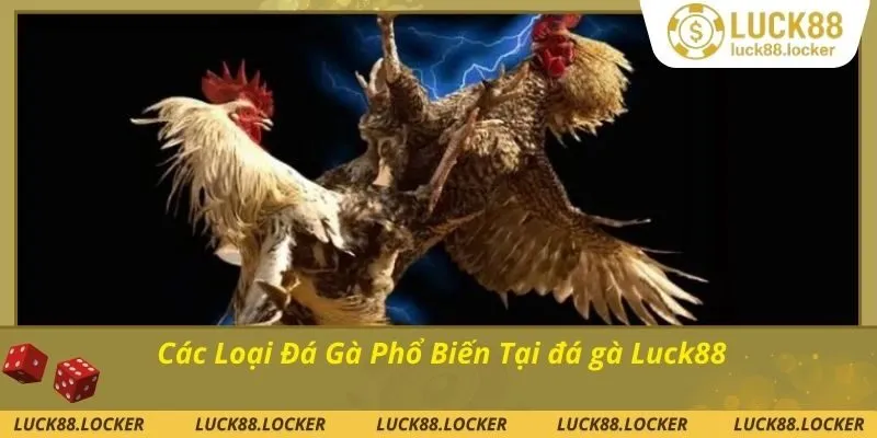 Đa dạng loại cược cho người chơi lựa chọn